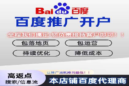 案例对比：SEO与SEM优化效果深度分析